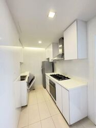 Nassim Regency (D10), Condominium #575127311